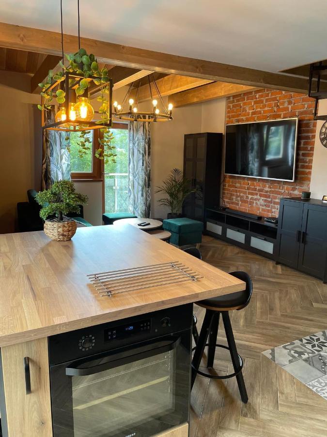 Apartamenty Miejscowka - Apartamenty Z Widokiem Na Gory - Bezplatny Parking Zakopane Exteriör bild